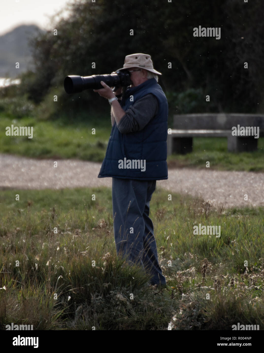 Fotografen, die die Linse Vögel fotografieren mit langen Objektiv Stockfoto