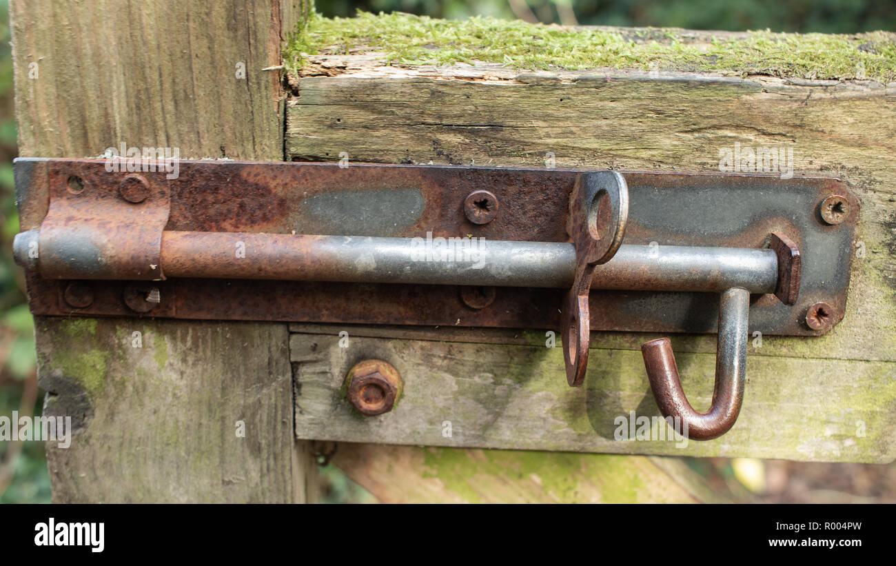 Eine rostige Tür Schraube auf hölzernen Tür Stockfoto