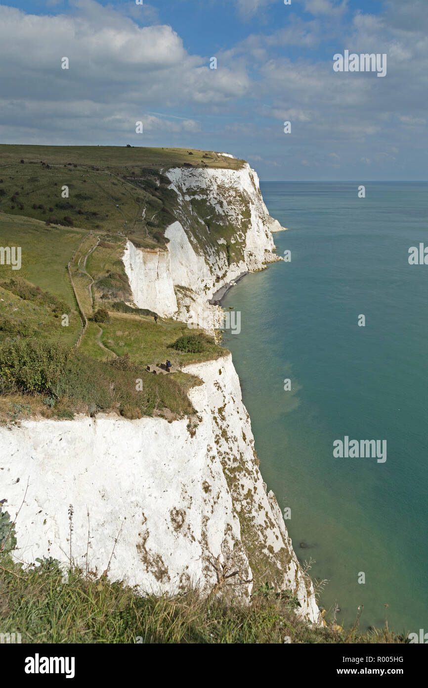 Weißen Klippen von Dover, England, Großbritannien Stockfoto