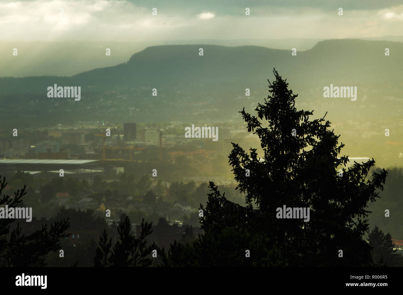 Schwere Sommer Regen in Oslo, Norwegen. Stockfoto