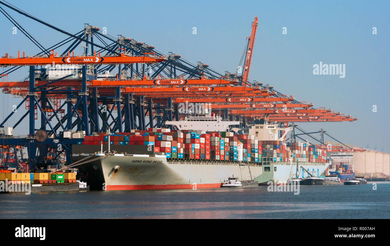 ROTTERDAM, Niederlande - 01.Oktober 2011: Container schiff im EuroMax Versand Terminal im Hafen von Rotterdam vertäut. Stockfoto