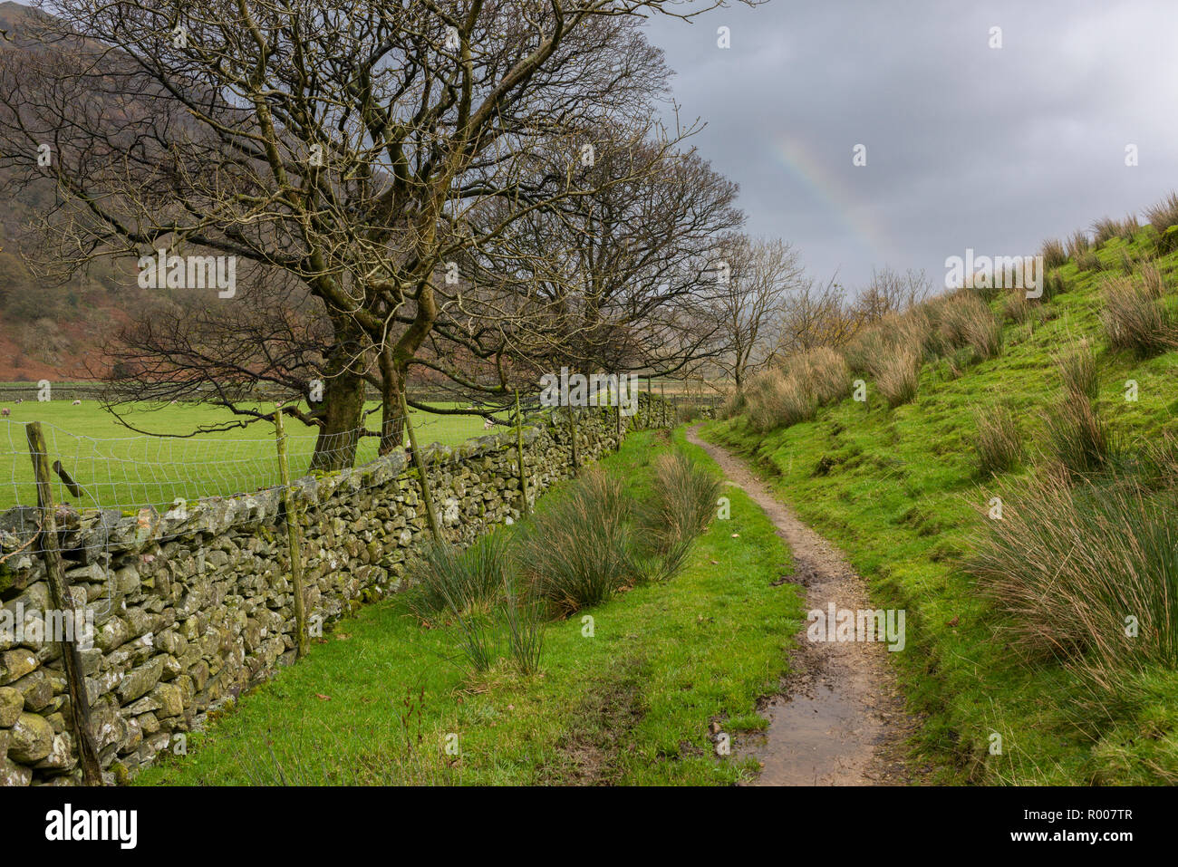 Die Borrowdale Valley in der Nähe von seathwaite im Nationalpark Lake District, Cumbria, England. Stockfoto