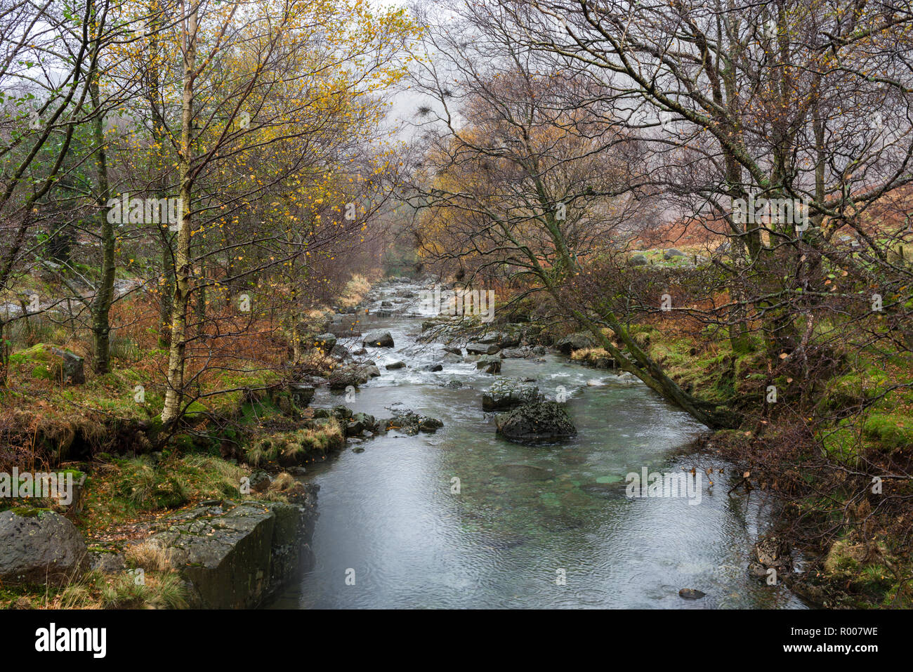 Langstrath Beck der Borrowdale-tal im Nationalpark Lake District, Cumbria, England. Stockfoto