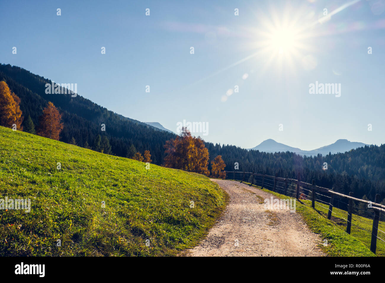 Alpine Road auf der italienischen Alpen Stockfoto