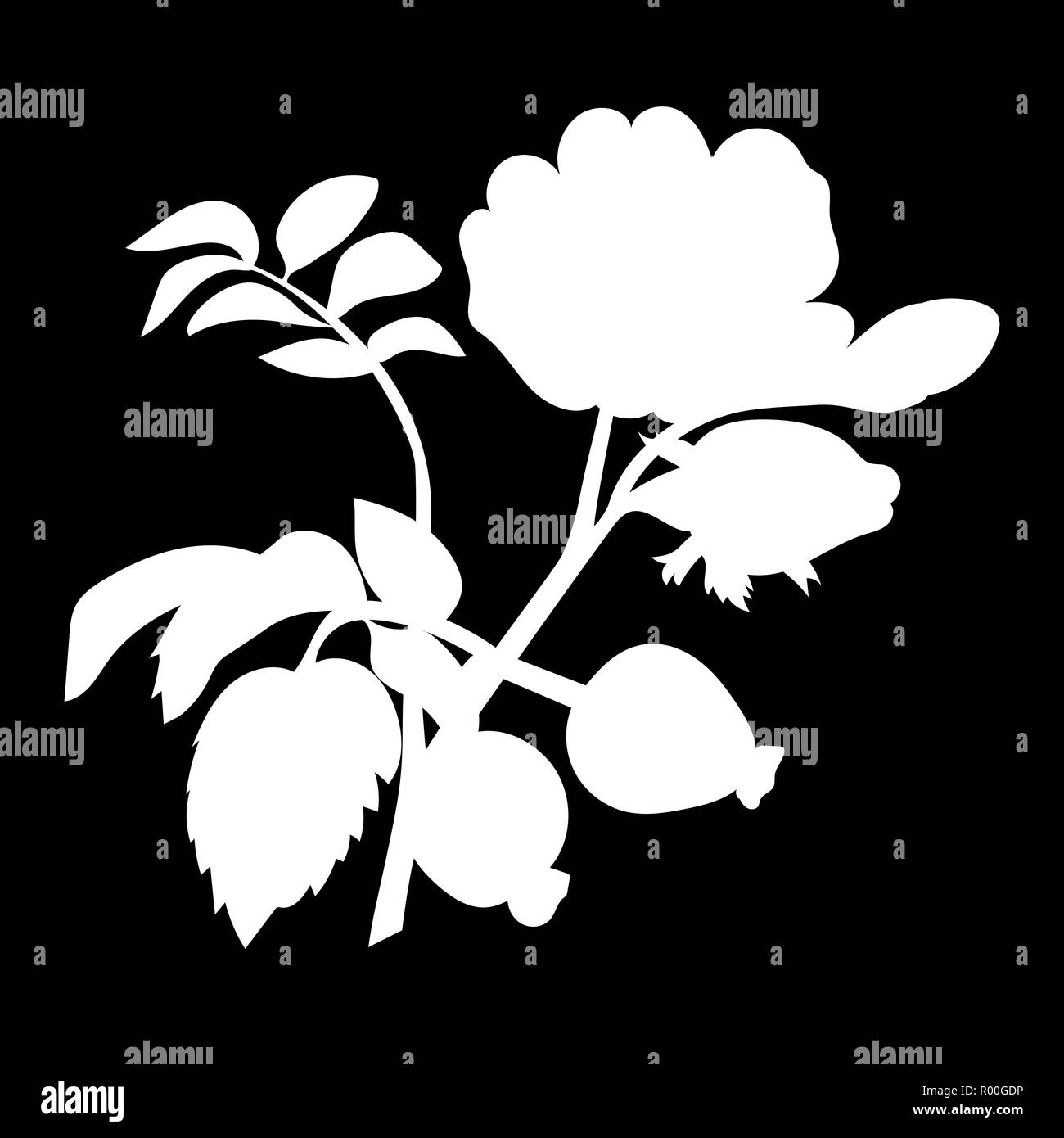 Zweig der Dog Rose mit Blättern und Hagebutten isoliert logo Symbol. weiße Silhouette. Vector Illustration Stock Vektor