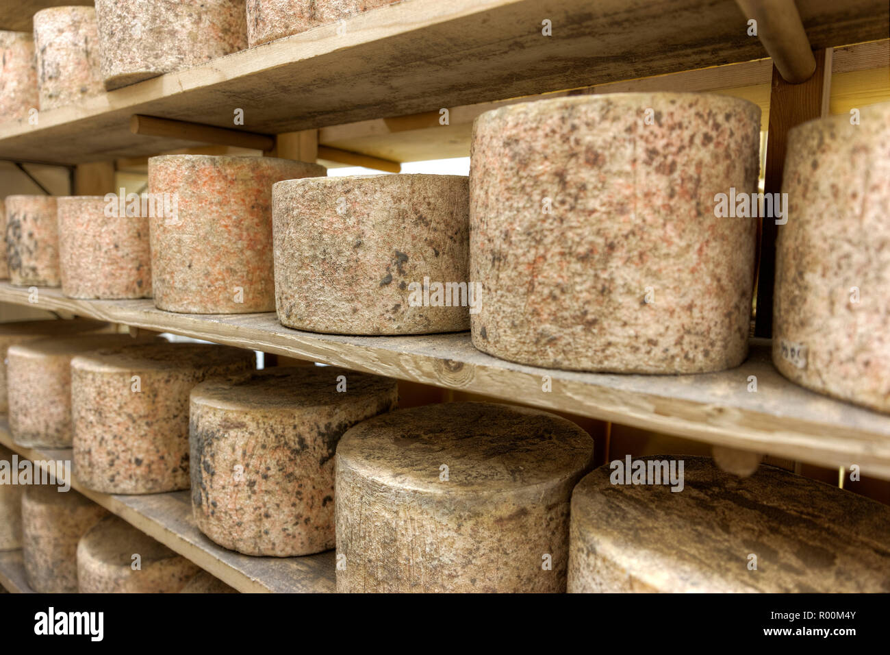 Detail Schwerpunkt der Umläufe von Käse in einem warenlage warten zu reifen Nr. 2 gestapelt Stockfoto