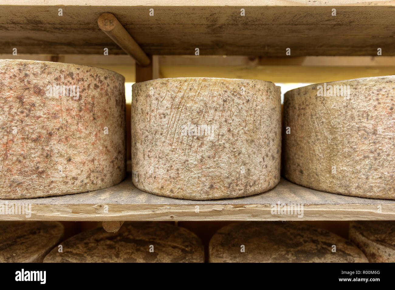 Detail Schwerpunkt der Umläufe von Käse in einem warenlage warten zu reifen Nr. 3 gestapelt Stockfoto