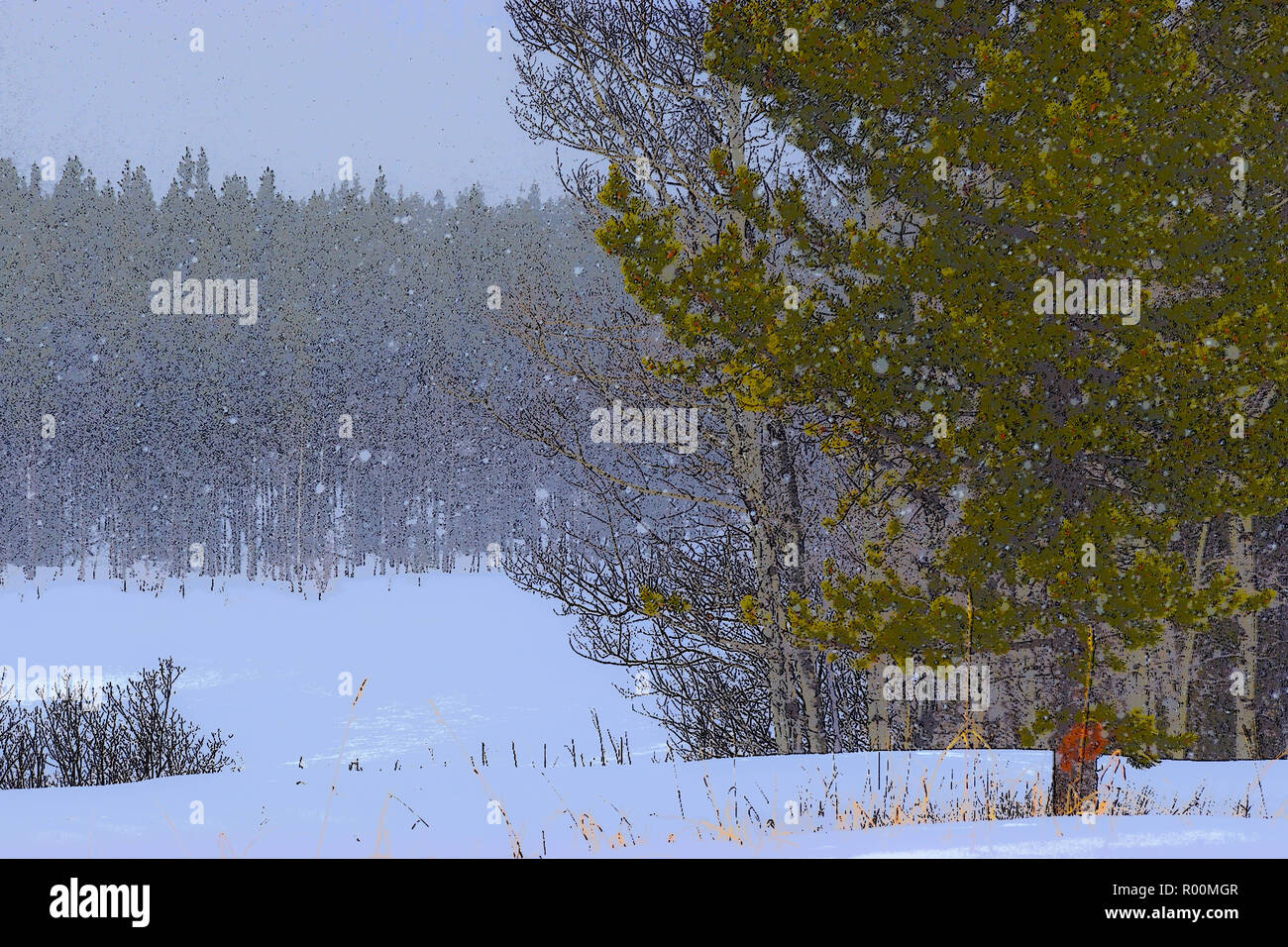 Winter Szenen in den Rocky Mountains von Alberta Stockfoto