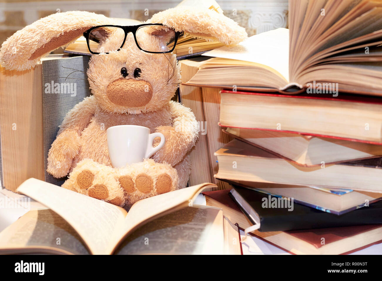 Spielzeug soft Hase mit Brille sitzt unter einem Stapel Bücher. Stockfoto
