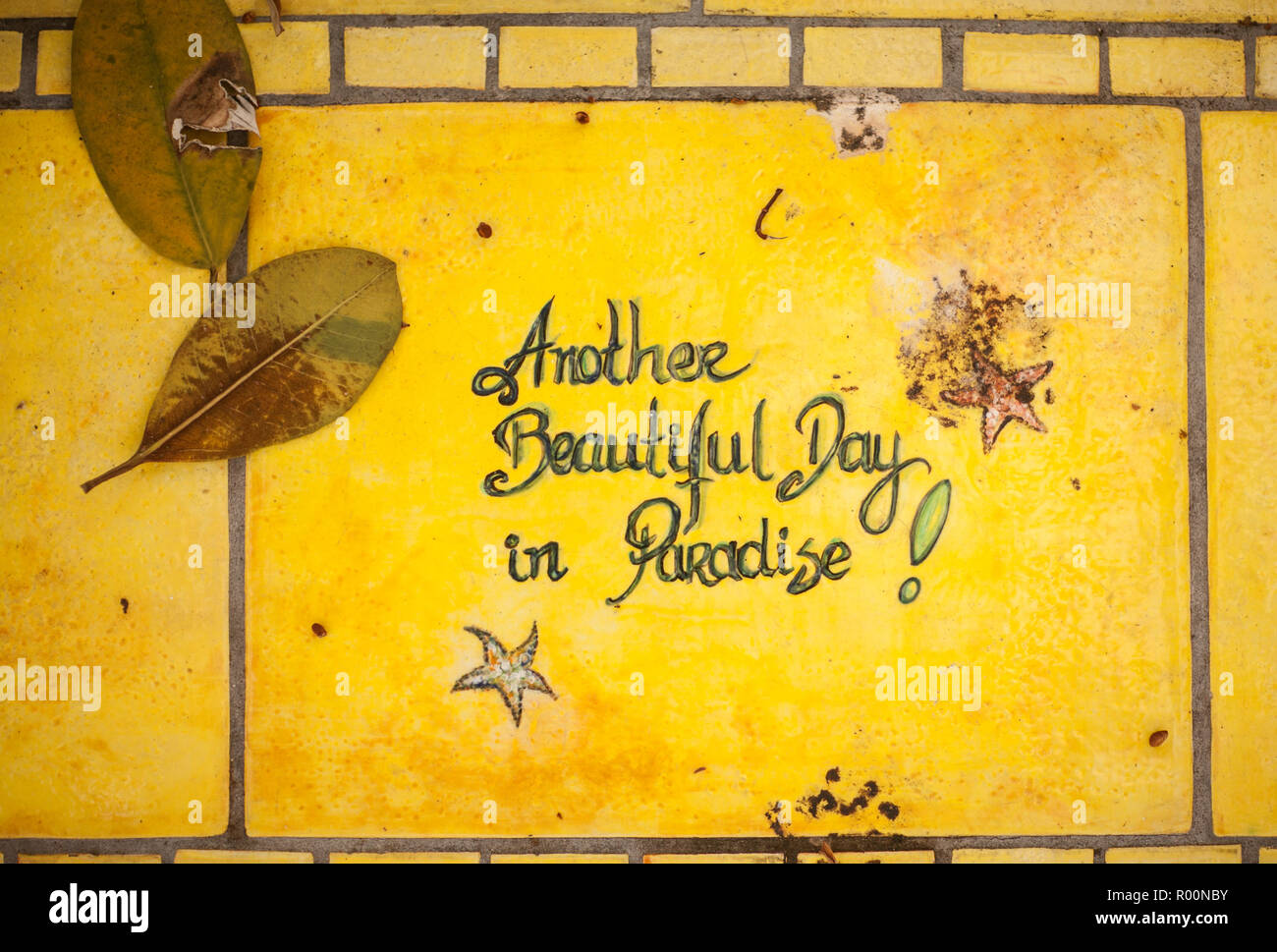 Die phrase Ein weiterer schöner Tag im Paradies in gelb Keramik Stein mit Sternen und Laub Stockfoto