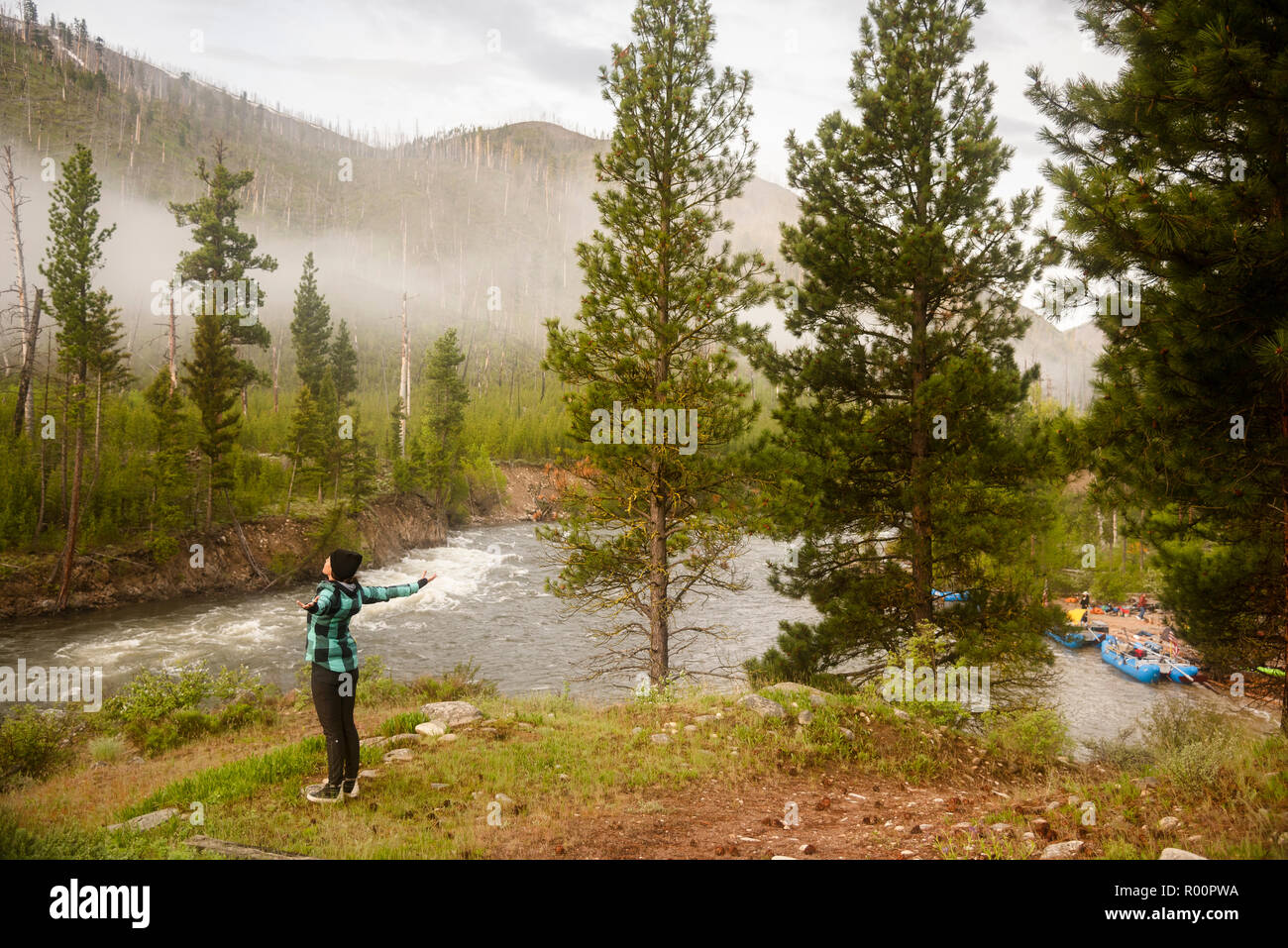 Eine junge Frau macht ihre Yoga-Strecke am frühen Morgen auf dem Middle Fork Salmon River in Idaho mit Ausstatter Far and Away Adventures. Stockfoto