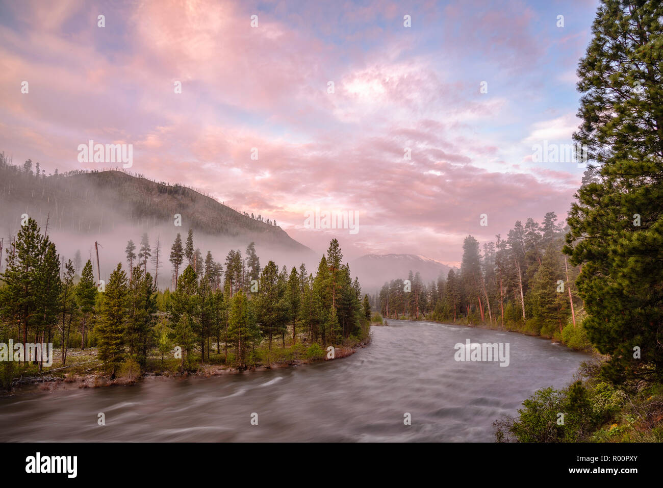 Am frühen Morgen auf der mittleren Gabel Salmon River in Idaho mit weitem Abenteuer. Stockfoto