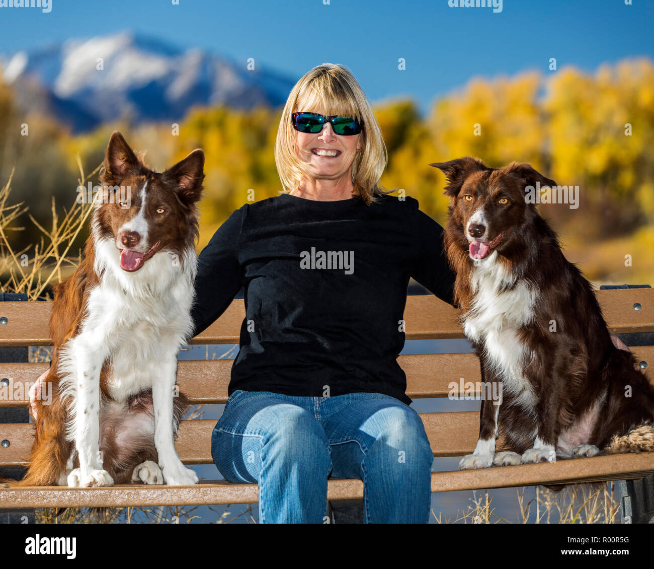 Informelle Outdoor Portrait der Frau mit ihren beiden Border Collie Hunde in einem Park, in der Nähe von Salida, Colorado, USA Stockfoto