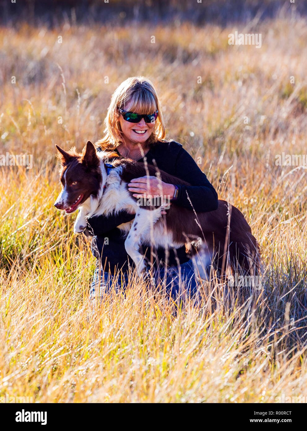 Frau mit Border Collie in einem Park in der Nähe von Salida, Colorado, USA Stockfoto