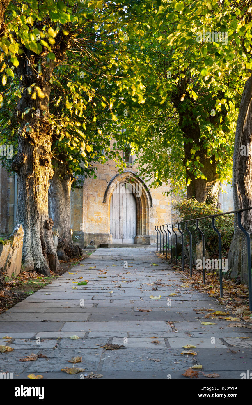 Asche Bäume säumen den Weg zum Haupteingang der St. James' Church, Chipping Campden, Cotswolds, Gloucestershire, England, Vereinigtes Königreich, Europa Stockfoto