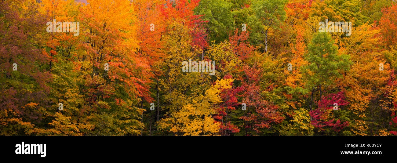 WARREN, Vermont, USA - Herbst Laub in die grünen Berge, Mad River Valley. Stockfoto