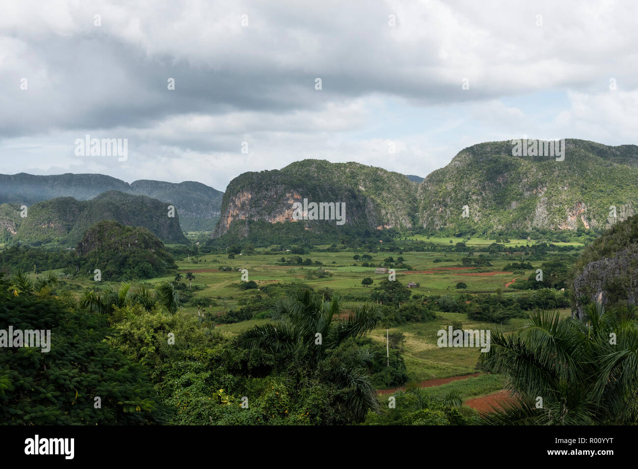 Blick auf die MOGOTES und das Tal Viñales in Kuba. Stockfoto