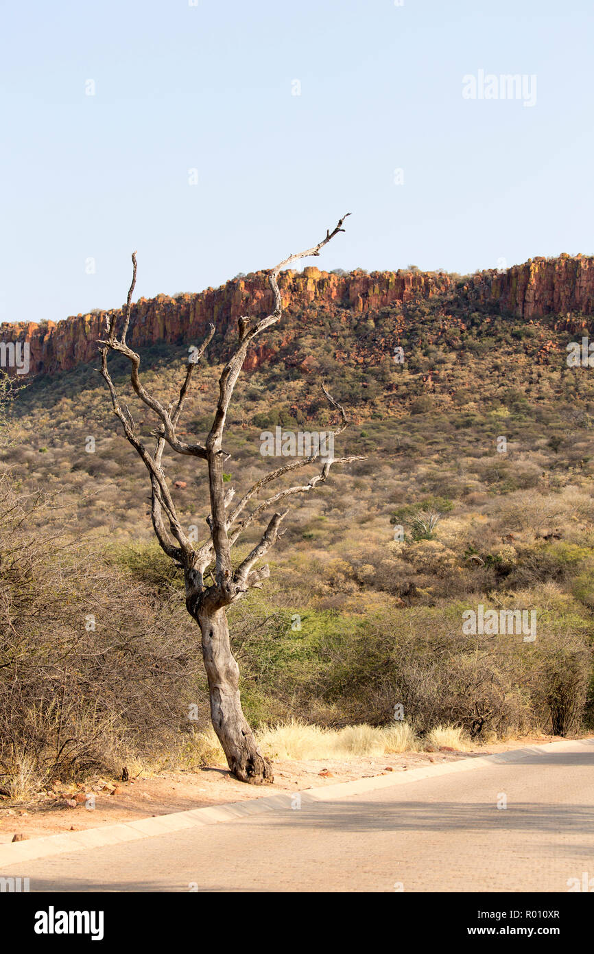 Waterberg Plateau, in Namibia, im Süden von Afrika Stockfoto