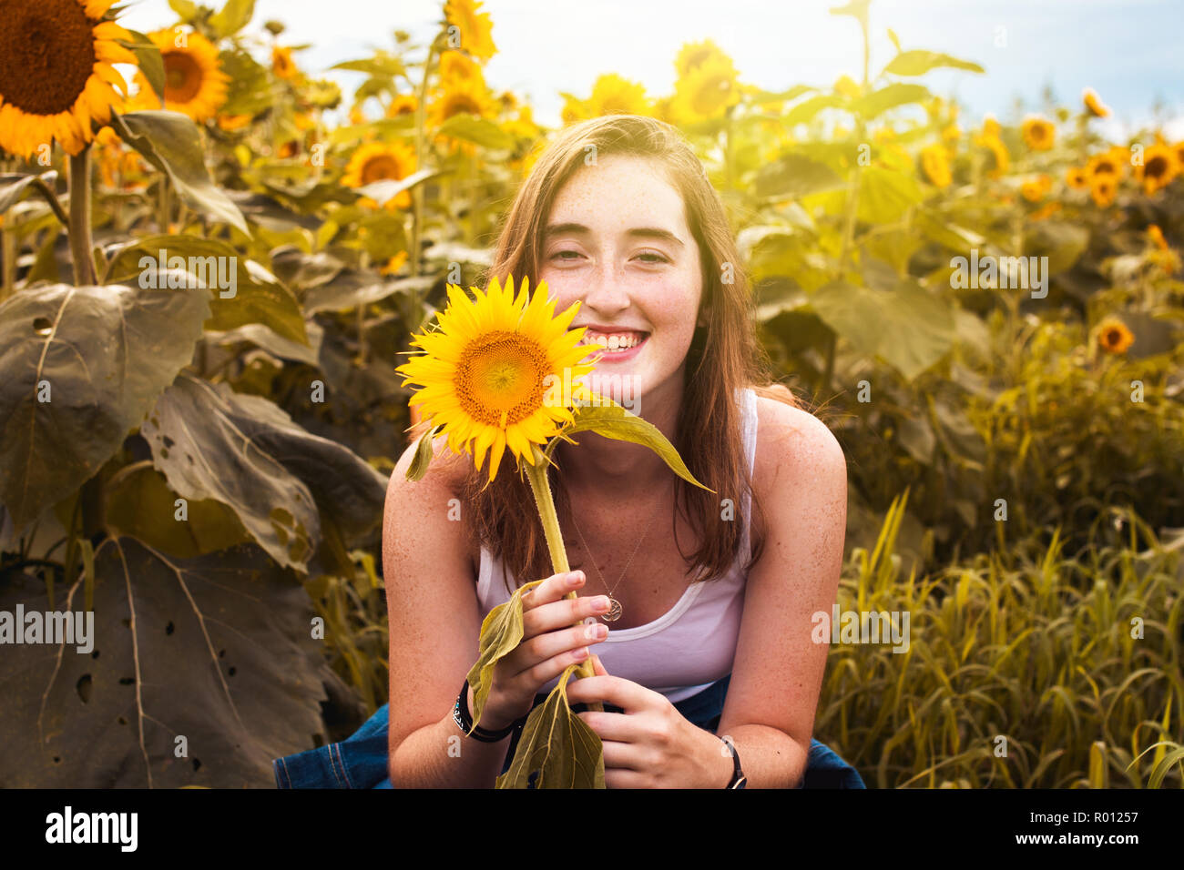 Mädchen lächelnd mit Sonnenblume Stockfoto