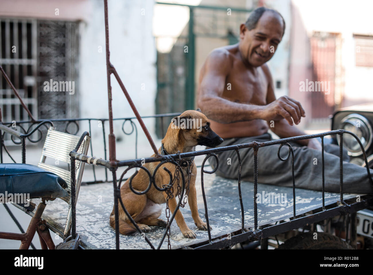 Eine kubanische Mann hängt heraus mit seinem Hund an einem heißen Tag in Havanna. Stockfoto