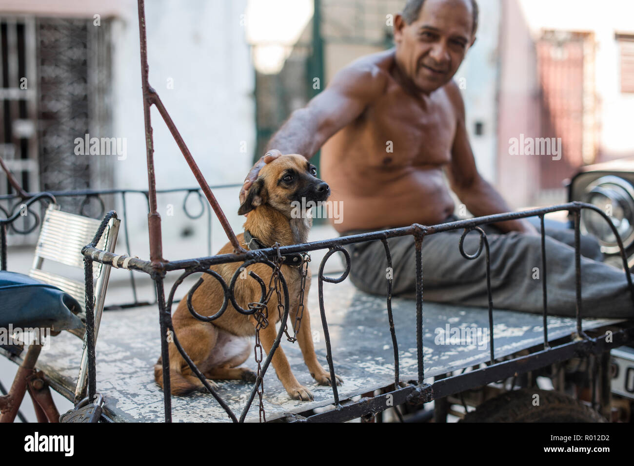 Eine kubanische Mann hängt heraus mit seinem Hund an einem heißen Tag in Havanna. Stockfoto