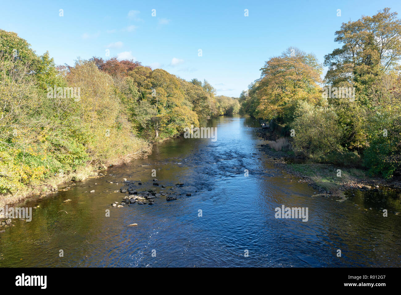 Sonnige Herbst Blick auf den River Wharfe, stromabwärts von der alten Brücke in Skipton, West Yorkshire Stockfoto