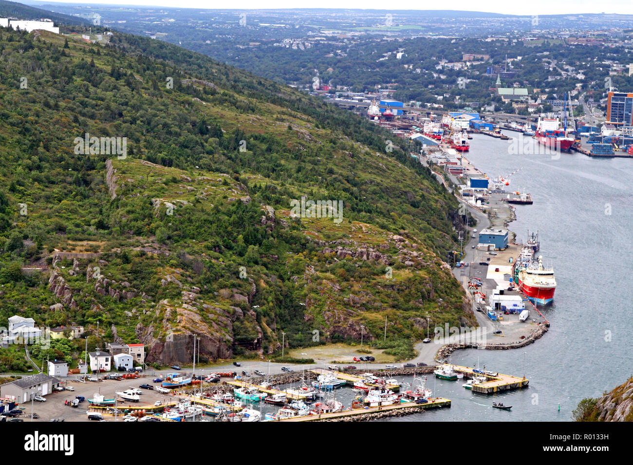 Blick auf St. John's, Neufundland, Hafen Stockfoto