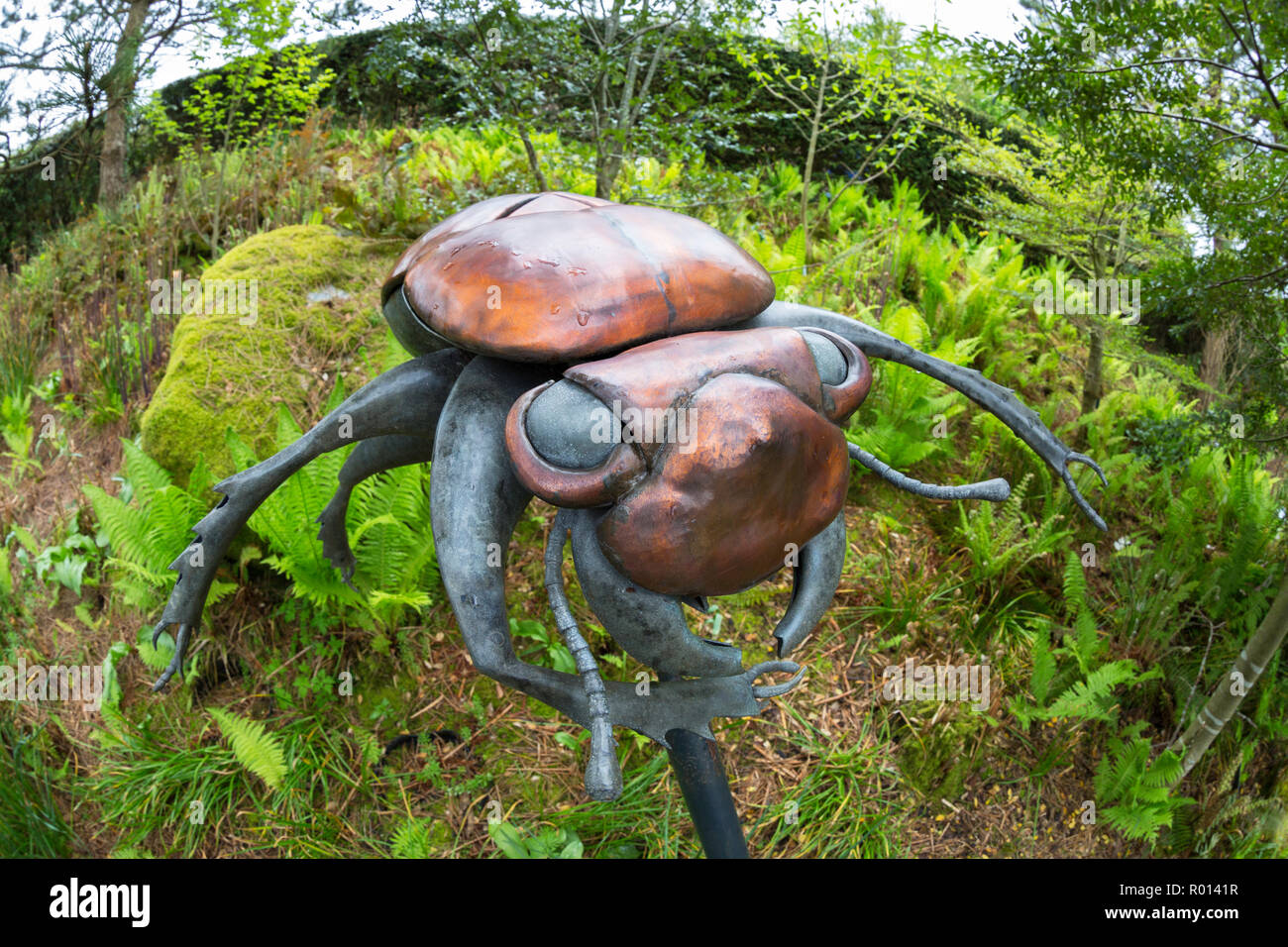 Giant beetle Skulptur an der beliebten Besucherattraktion Fohey das Eden Project, Cornwall, England. Stockfoto