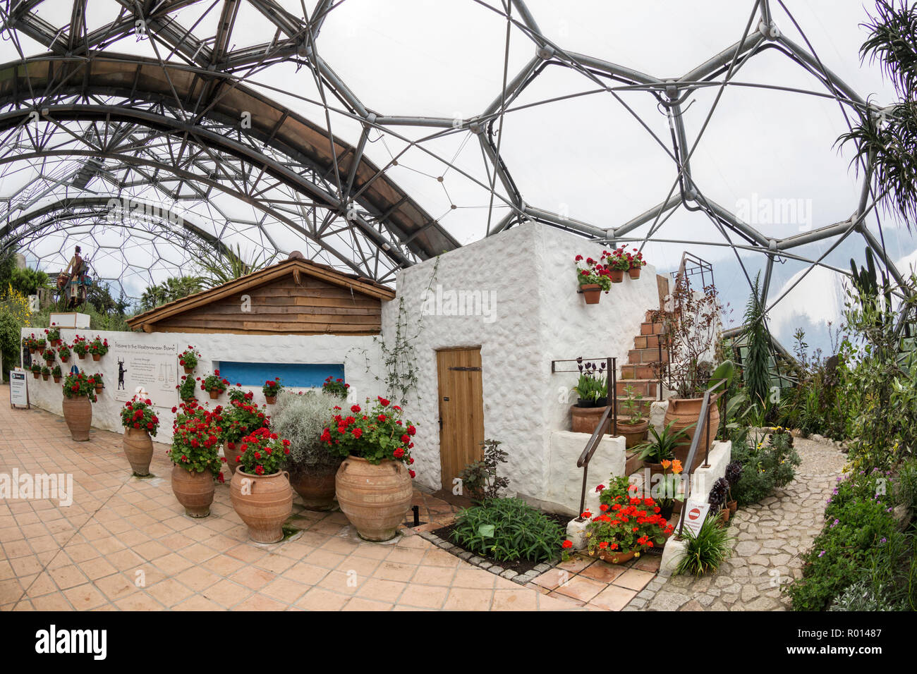 Im Mittelmeer biome an der beliebten Besucherattraktion Fohey das Eden Project, Cornwall, England. Stockfoto