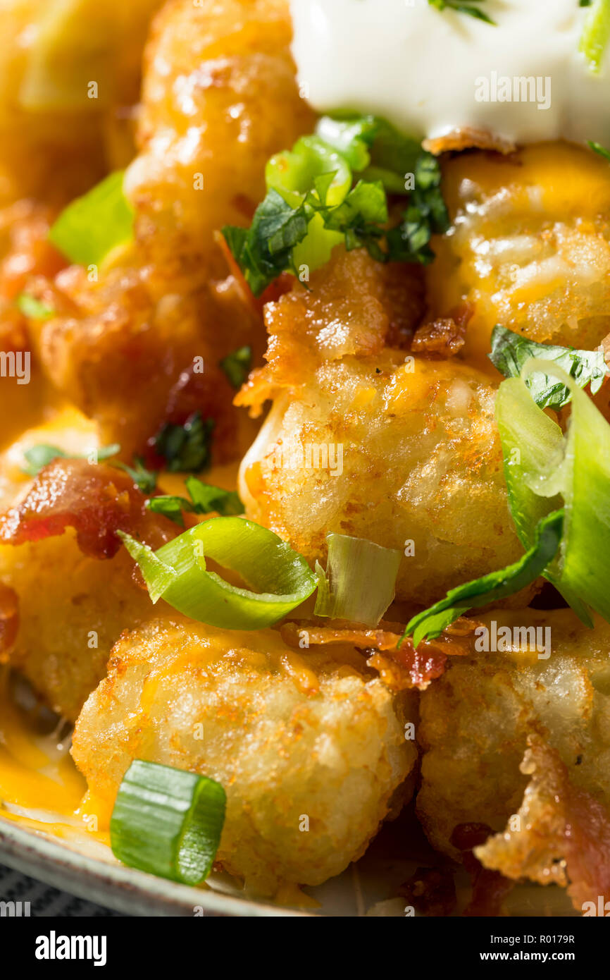 Pikante Hausgemachte geladen Taters Tots mit Käse und Speck Stockfoto