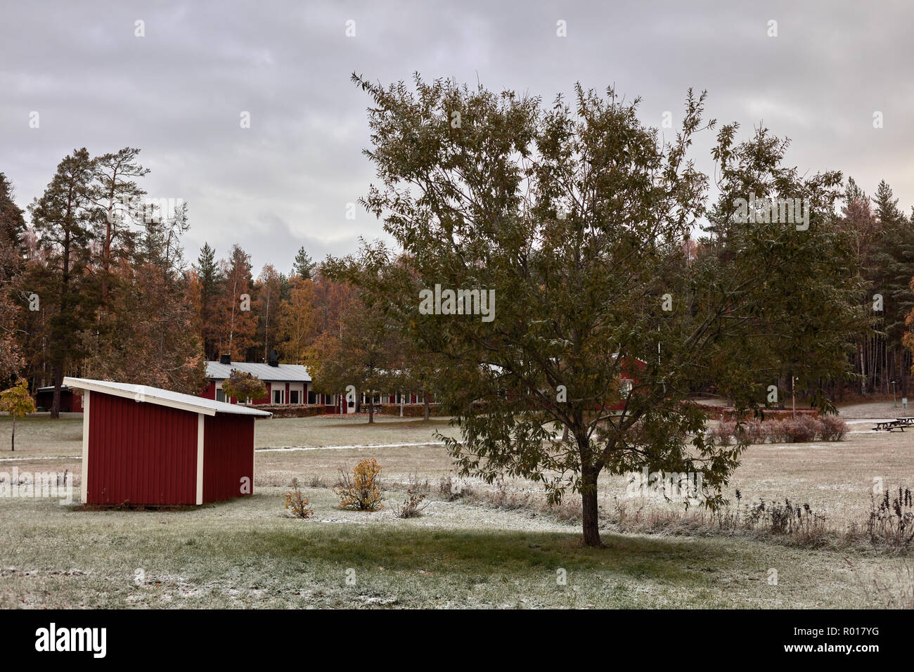 Erster Schnee auf einer Wiese außerhalb Vaxholm in 2018 Stockfoto
