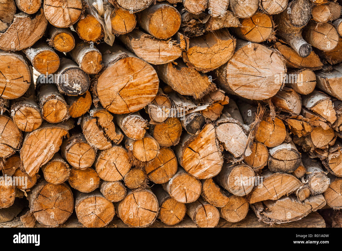 Stapel von Holz. bereit für den Wald Feuer. Stockfoto