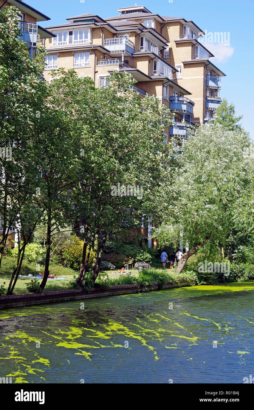 Die Grand Union Canal in der Nähe von Harrow Road Bridge, mit 7 bis 9-stöckigen Gebäude mit mehreren flach geneigte Dach Stockfoto