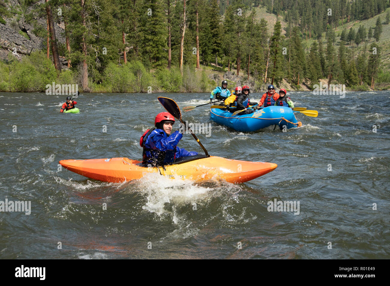 Rafting und Kajakfahren auf dem Middle Fork Salmon River, Idaho mit weitem Abenteuer. Stockfoto