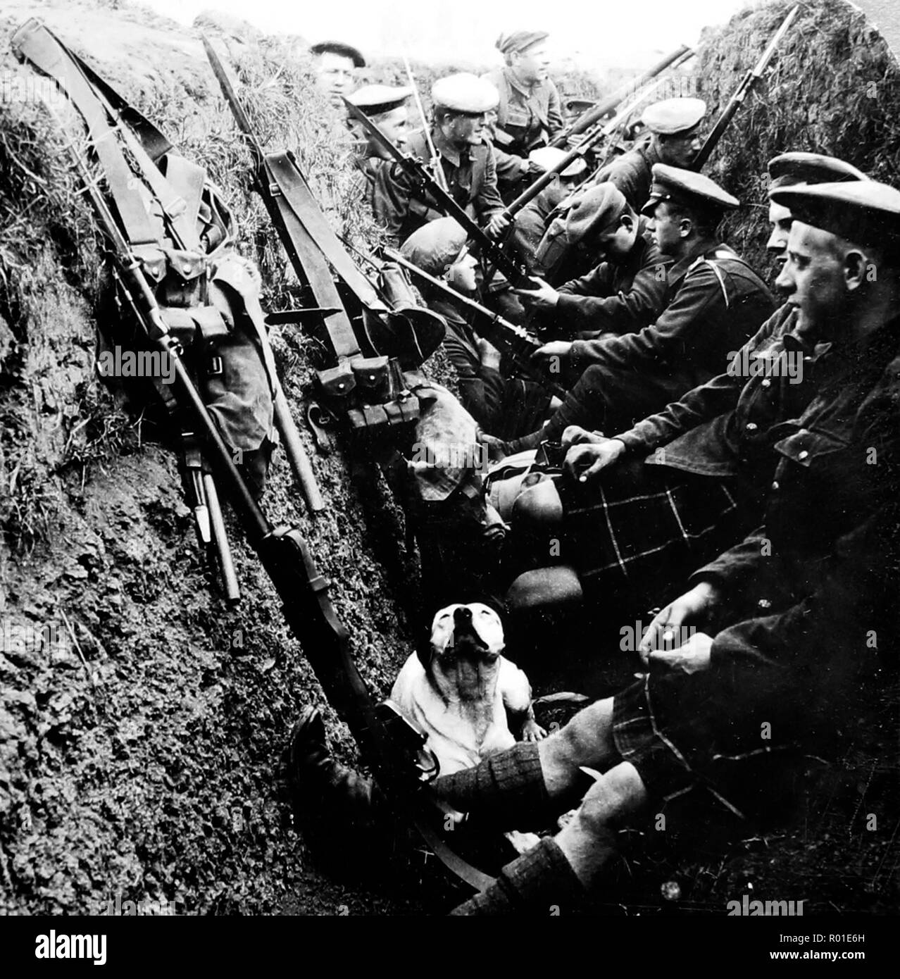 Seaforth Highlanders (und Hund) während des Ersten Weltkriegs Stockfoto