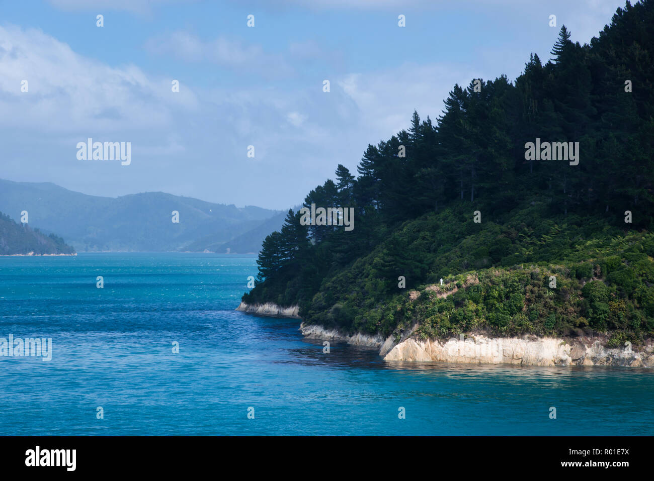 Die bewaldeten Ufer des Marlborough Sounds aus der Interislander Fähre gesehen, während die Cook Strait von Neuseeland. Stockfoto