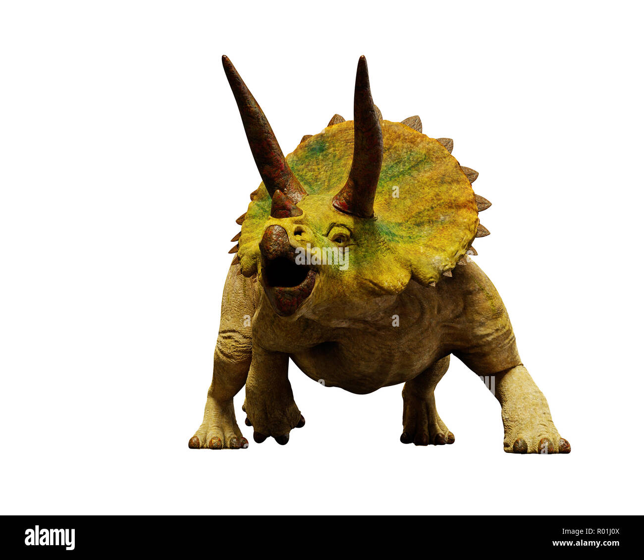Dinosaurier TRICERATOPS horridus, ausgestorbene prähistorische Tier (3D-Render auf weißem Hintergrund) Stockfoto
