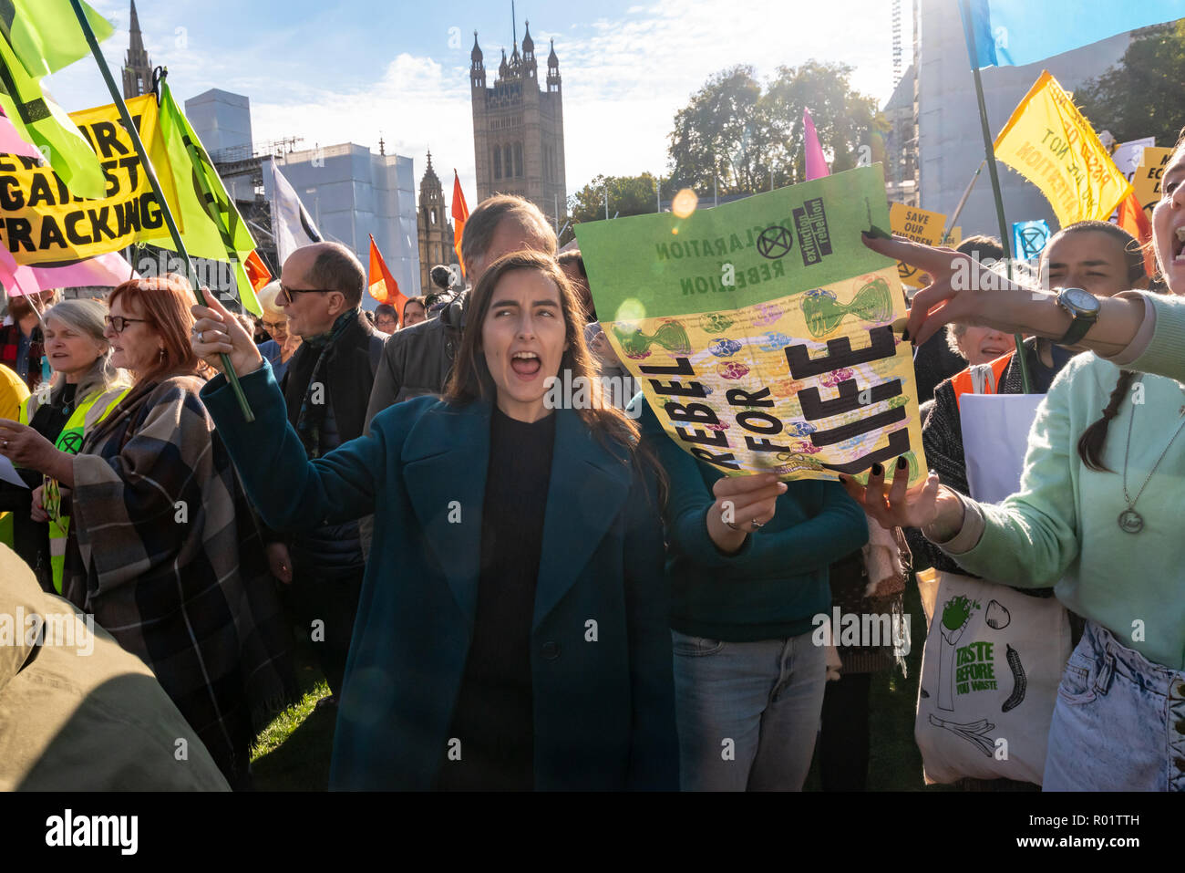 London, Großbritannien. 31. Oktober 2018. Die demonstranten am Aussterben Rebellion Protest im Parlament Platz, in der Lesung der Delaration der Rebellion" gegen die britische Regierung für seine kriminellen Untätigkeit im Angesicht des Klimawandels Katastrophe und ökologischen Kollaps. Credit: Peter Marschall/Alamy leben Nachrichten Stockfoto