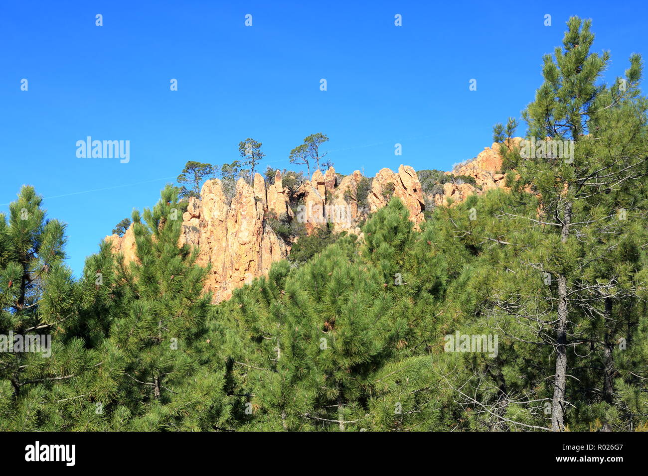 Falaises de Colle Rousse, le Blavet, Var, 83, Provence-Alpes-Côte d'Azur Stockfoto