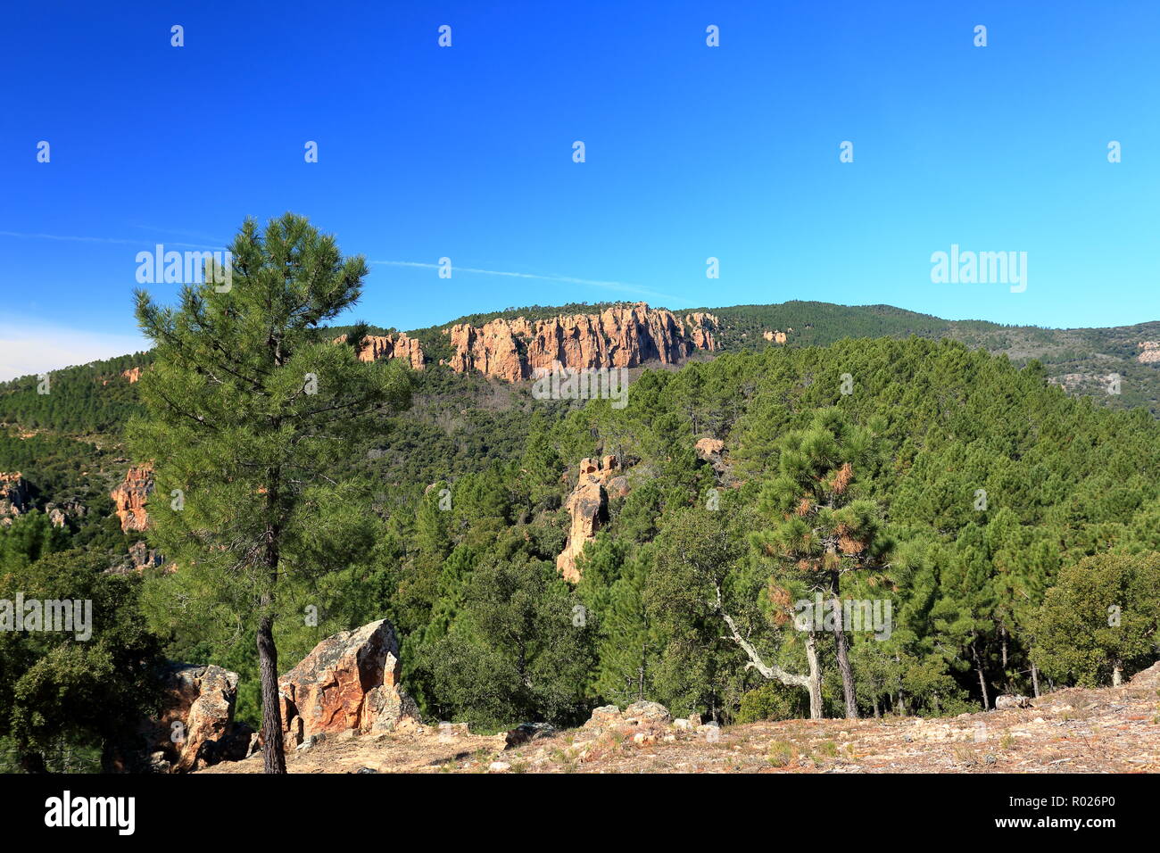 Falaises de Colle Rousse, le Blavet, Var, 83, Provence-Alpes-Côte d'Azur Stockfoto