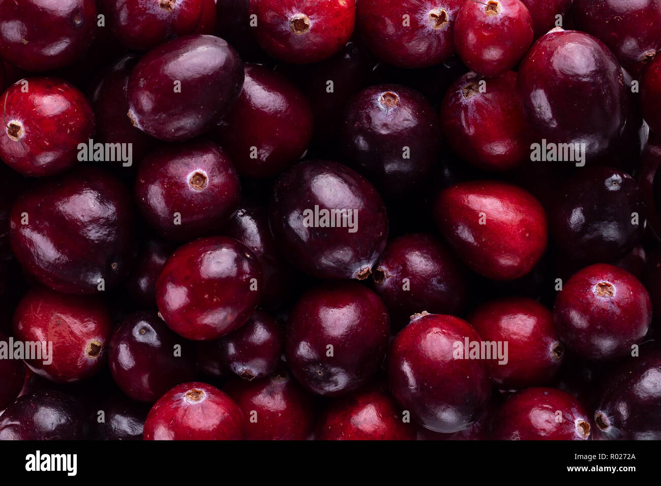 Saftige cranberry als Hintergrund Stockfoto