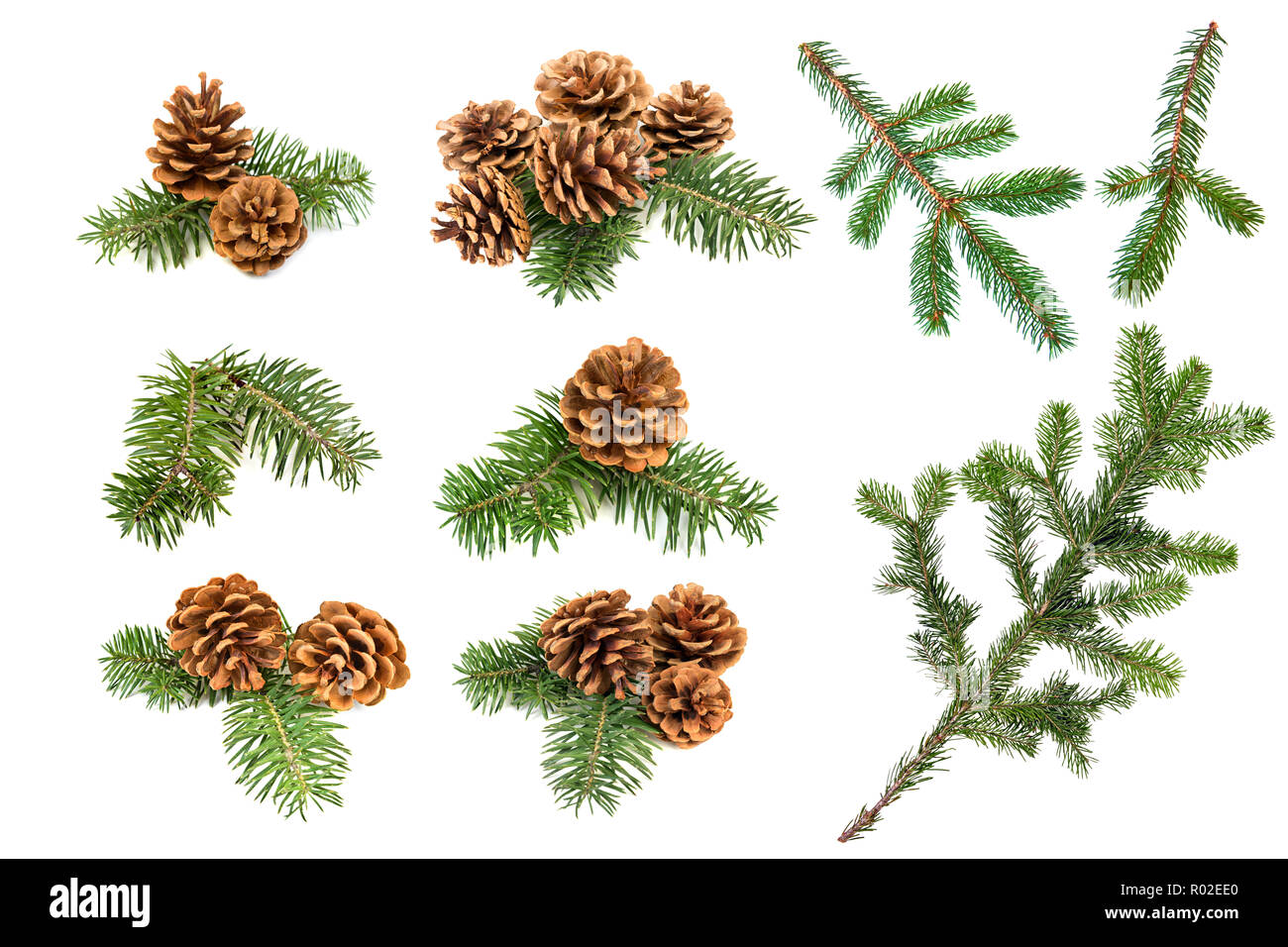 Satz von Weihnachten Tannenzapfen und Niederlassungen auf weißem Hintergrund Stockfoto