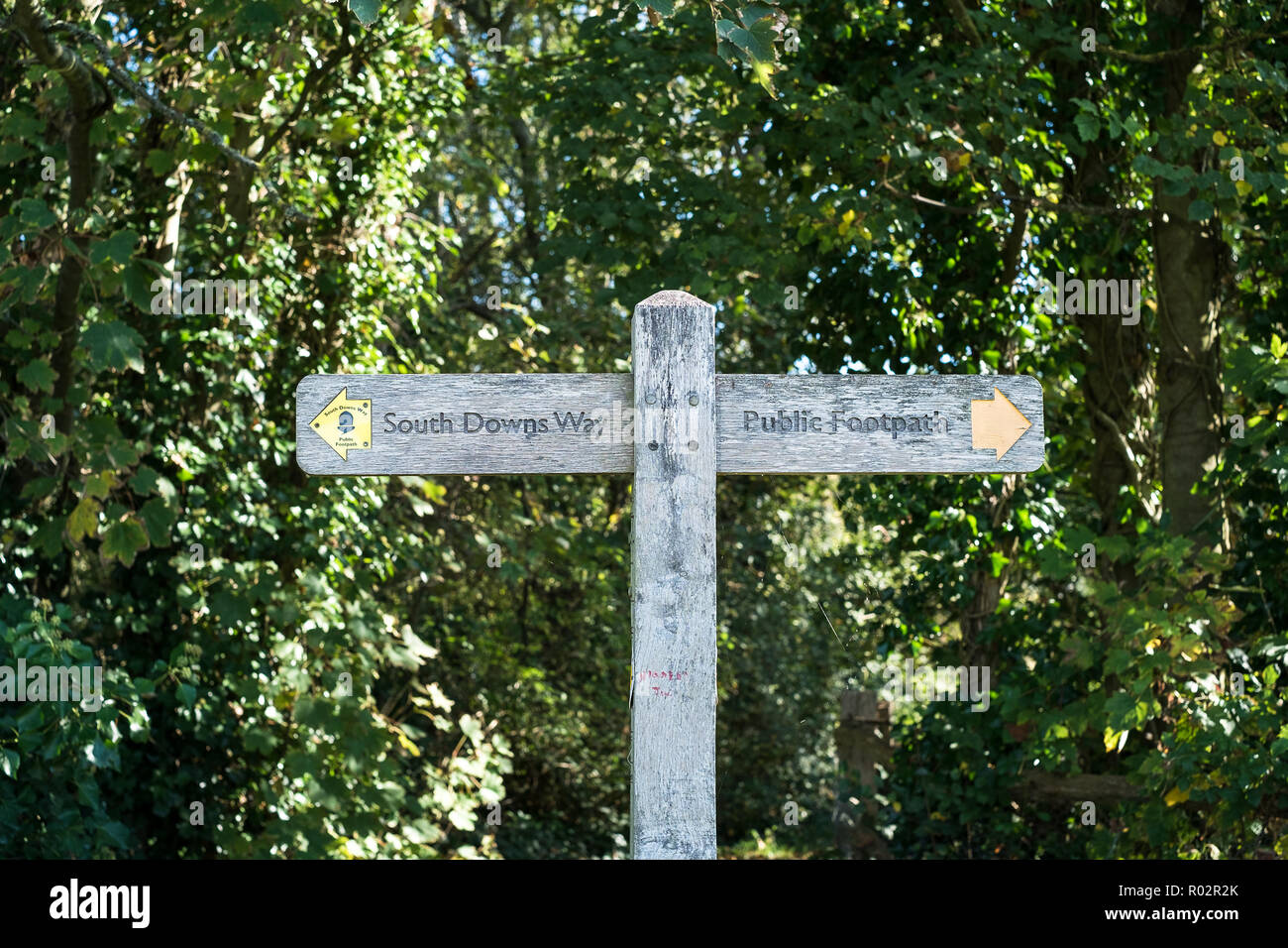South Downs Way öffentlichen Fußweg Wegweiser, England, East Sussex, Wealden, Großbritannien Stockfoto