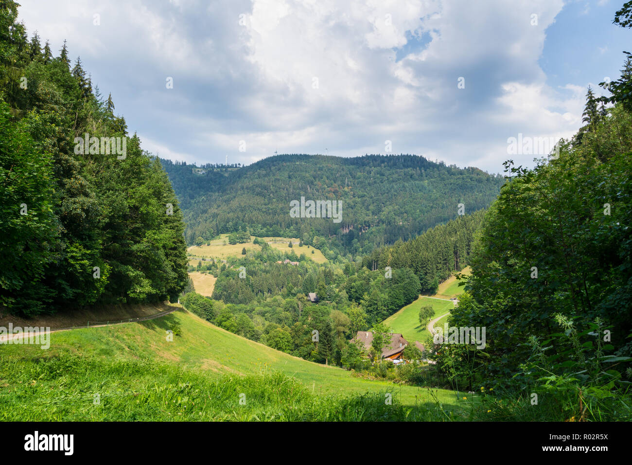 Deutschland, Schwarzwald Tal mit dunklen Wolken und Wanderweg Stockfoto