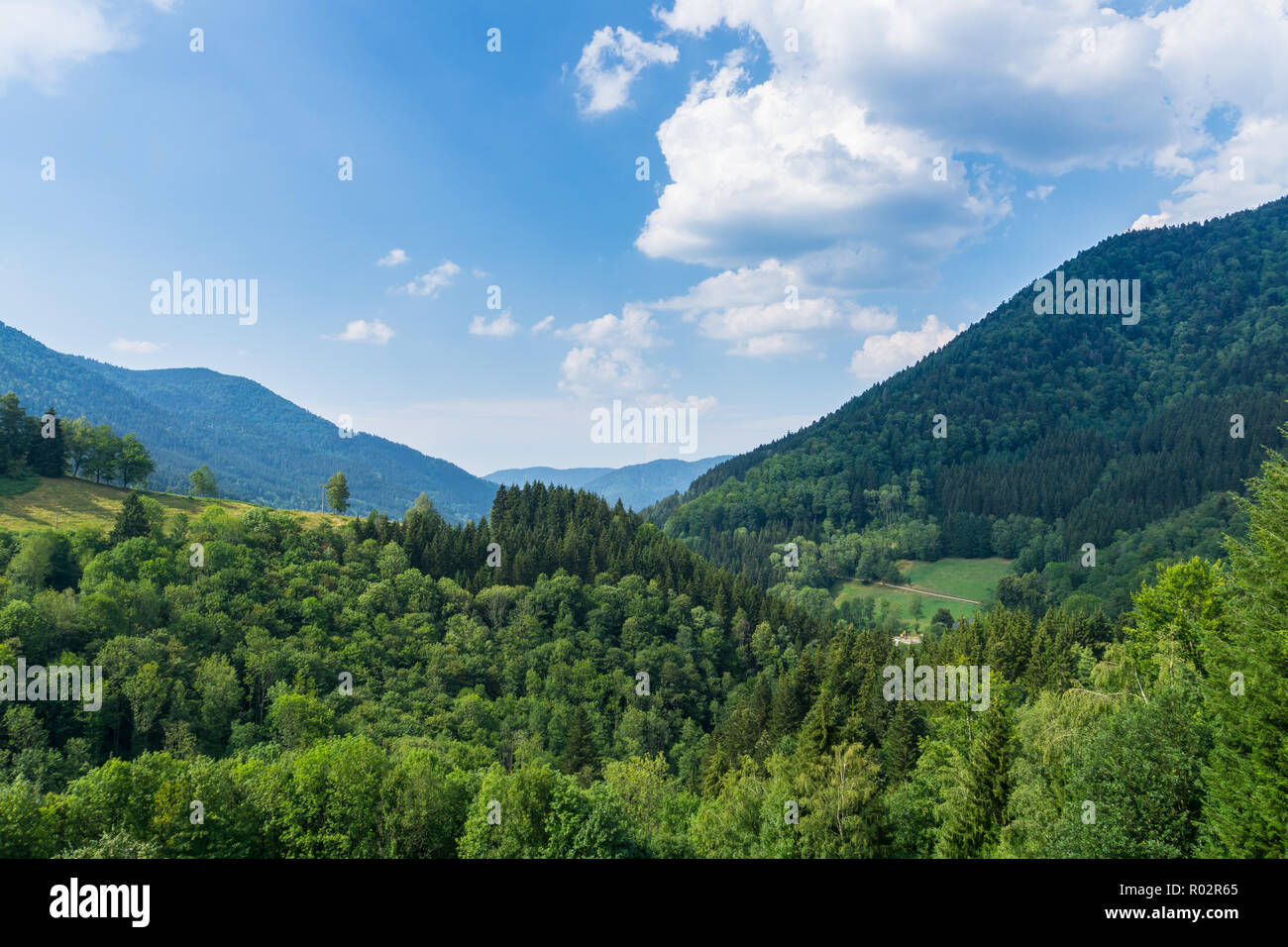 Deutschland, unendlichen schwarzen Wald Landschaft der Berge und Täler Stockfoto