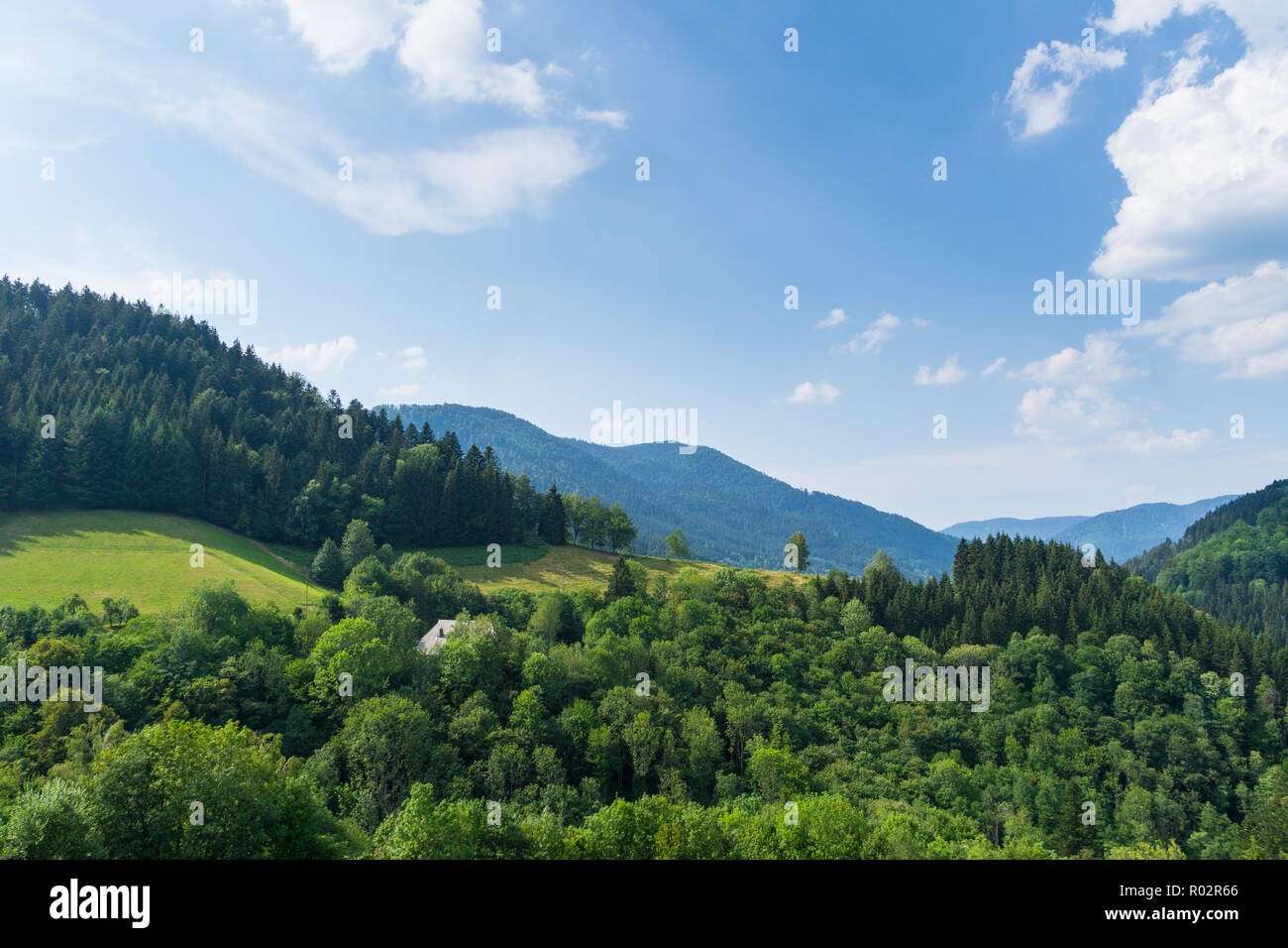 Deutschland, versteckte Haus in endlosen natürlichen Schwarzwald Landschaft Stockfoto