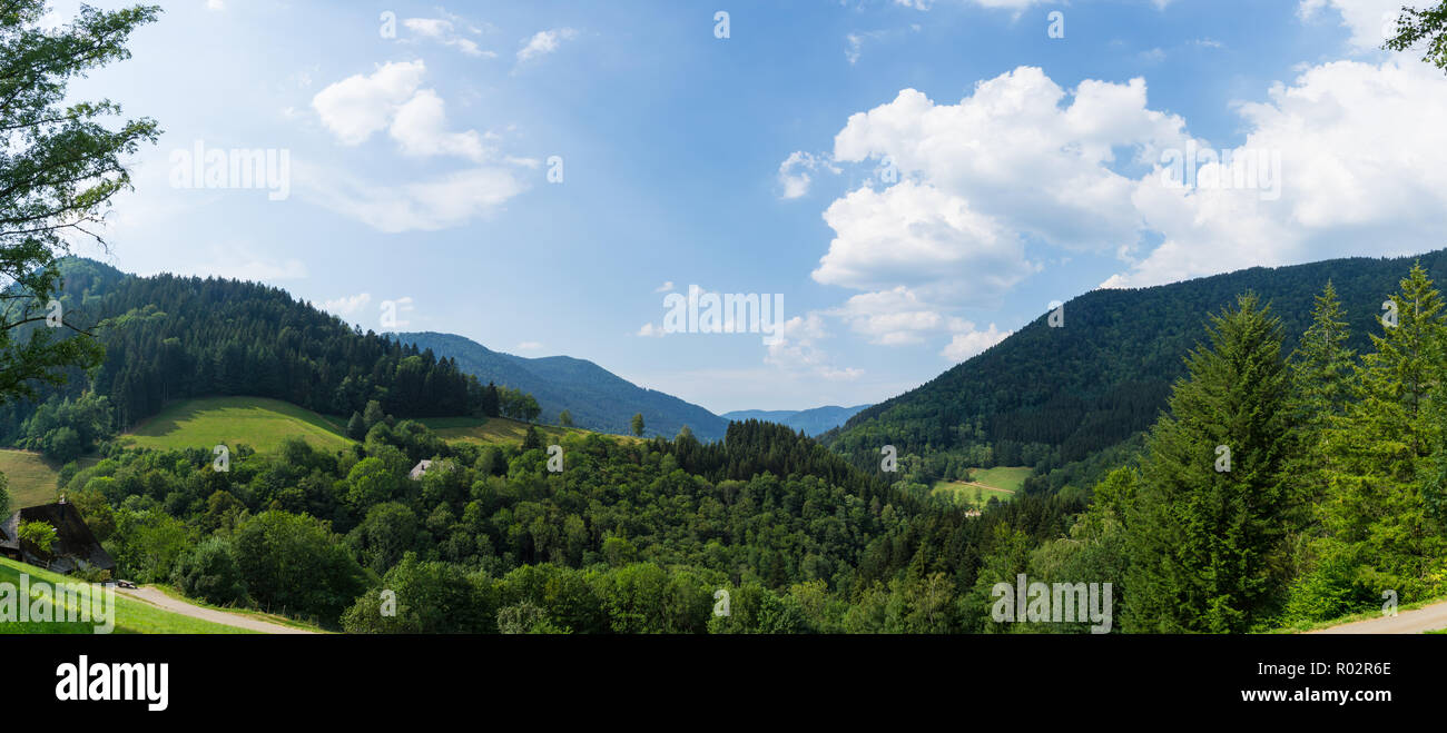 Deutschland, XXL panorama Blick in den Naturpark Schwarzwald Landschaft Stockfoto