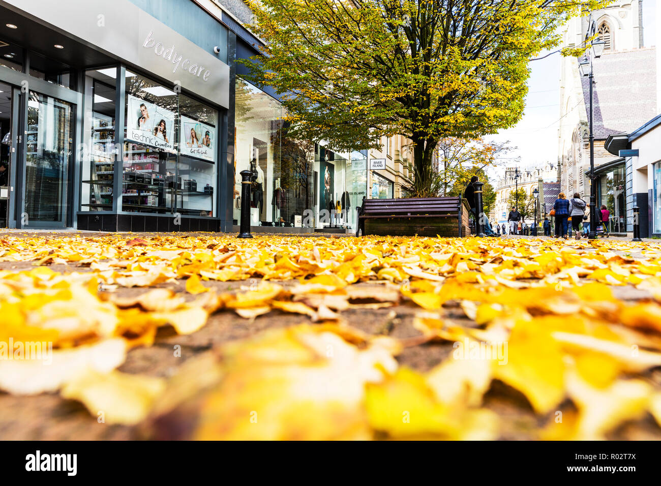 Blätter im Herbst, gefallen, Blätter im Herbst, die Blätter auf dem Boden sind, Laub auf dem Boden, Blätter im Herbst auf dem Boden, Harrogate Yorkshire UK England, Blätter im Herbst Stockfoto