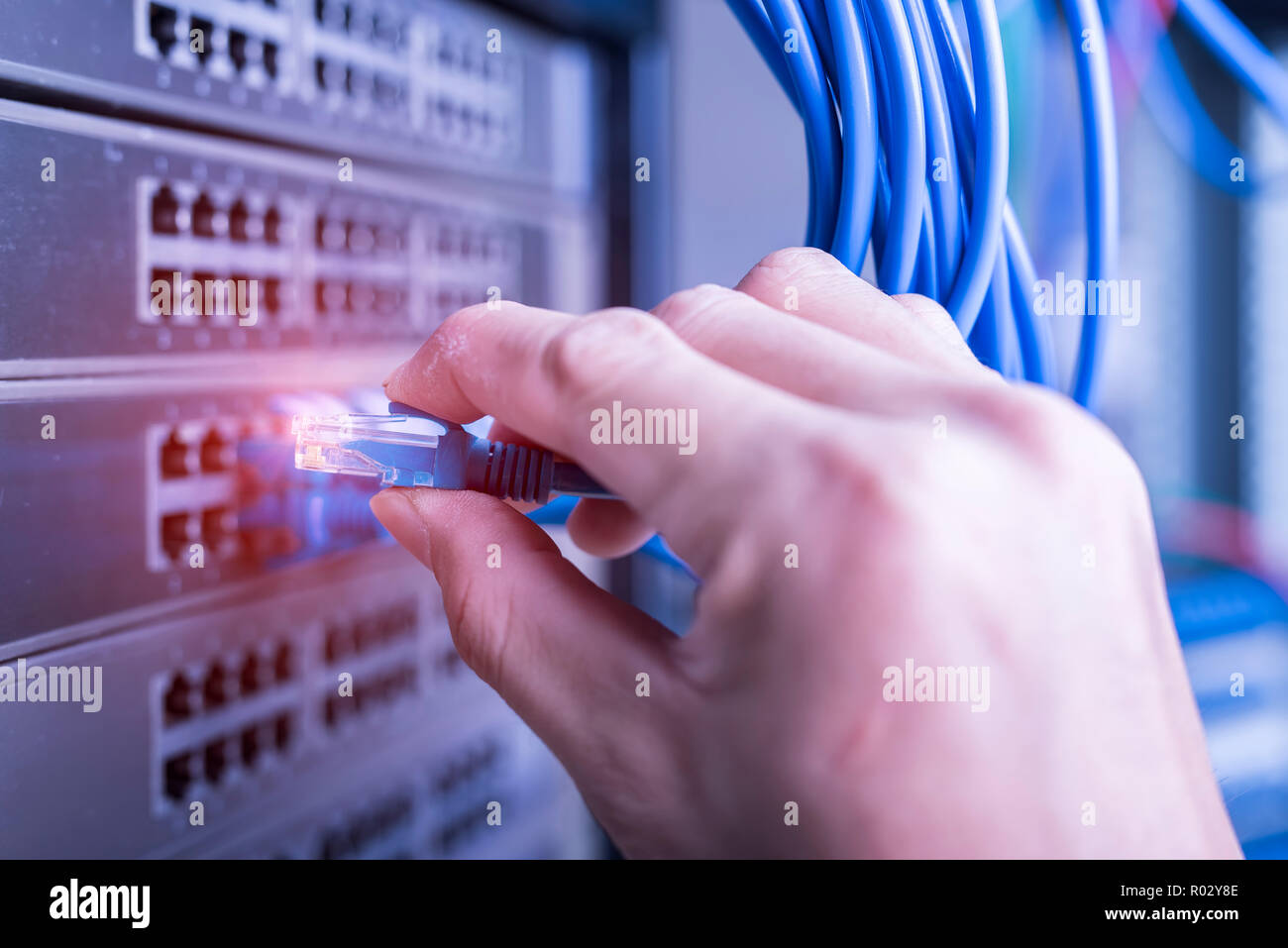 Hand, die Netzwerkkabel auf dem Switch Hub im Server raum Hintergrund Stockfoto