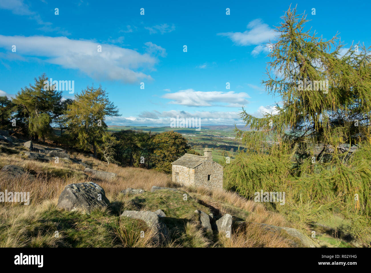 Der almhütte und Lärchen im Herbst - ungewöhnliche Ansichten von Ilkley Moor, West Yorkshire, UK Stockfoto
